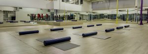Ginástica: programa completo e variado!