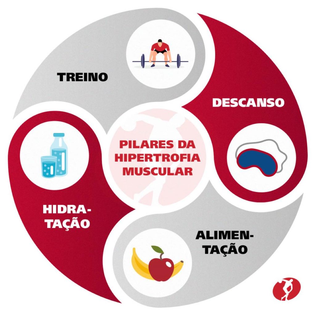 Ciclo da hipertrofia, referente aos hábitos para crescimento e difinição muscular