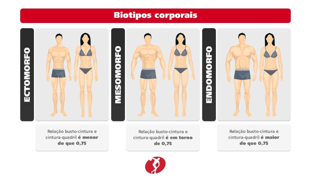 tabela comparativa de biotipos de corpos 