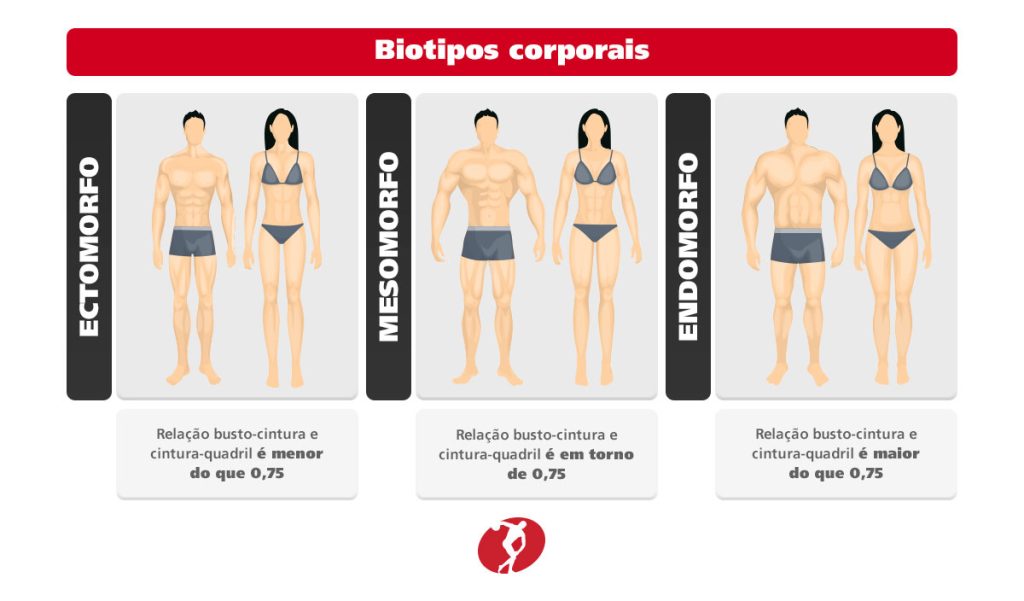 Biotipos corporais
ECTOMORFO
Relação busto-cintura e cintura-quadril é menor do que 0,75

MESOMORFO
Relação busto-cintura e cintura-quadril é em torno de 0,75

ENDOMORFO
Relação busto-cintura e cintura-quadril é maior do que 0,75